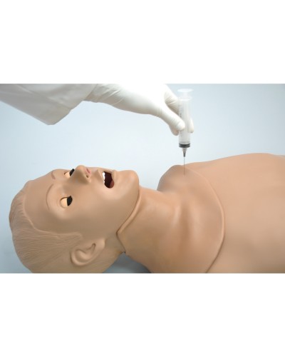 Simon® Adult Multipurpose Airway Trainer and CPR Trainer